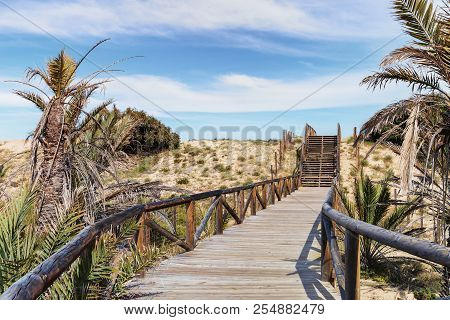 Wooden Path And Stairs On Sand Dunes And Palm Trees For Access To The Beach
