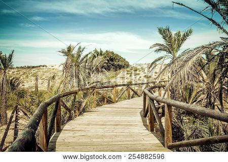 Wooden Path With Fences Over Sand Dunes For Access To The Beach