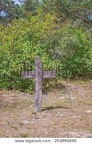 Old Abandoned Cemetery In Sunny Summer. Wooden Weathered Cross.