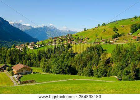 Summer landscape of Switzerland rural country side, near Habkern village