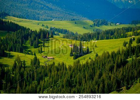 Summer landscape of Switzerland rural country side, near Habkern village
