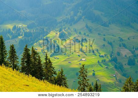 Summer landscape of Switzerland rural country side, near Habkern village