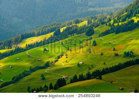 Summer landscape of Switzerland rural country side, near Habkern village