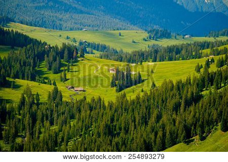 Summer landscape of Switzerland rural country side, near Habkern village