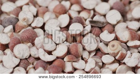 Chinese Gordon euryale seed