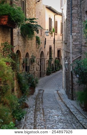 Plants Lining The Narrow Street In A Beautiful Umbrian Town Of Spello In Italy