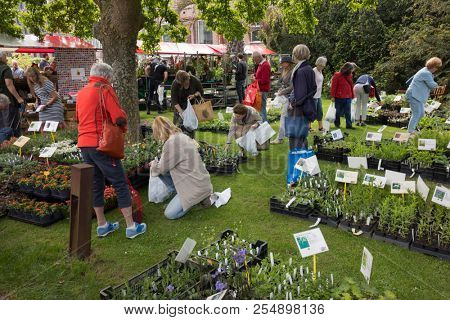 Leiden, Netherlands - May 12, 2018: Annual flower market with special plants in the Hortus Botanicus