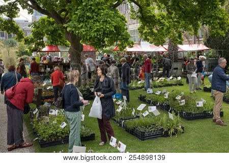 Leiden, Netherlands - May 12, 2018: Annual flower market with special plants in the Hortus Botanicus