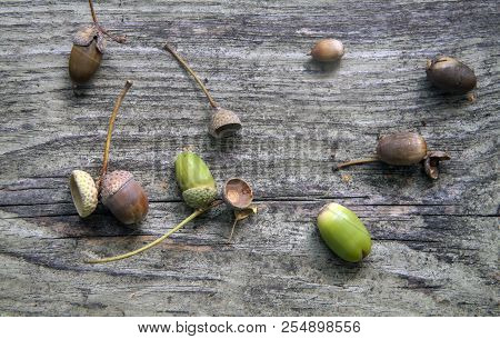 Autumn Decorative Wooden Background With Acorns And Leaves