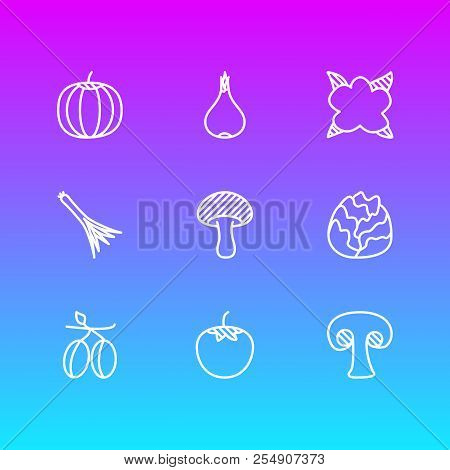 Vector Illustration Of 9 Vegetables Icons Line Style. Editable Set Of Cole, Olives, Cabbage And Othe