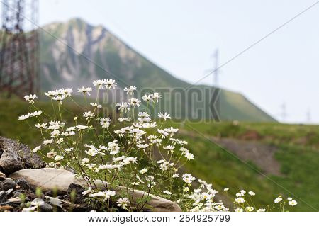 Causasian Mountains In Georgia Region Od Europe