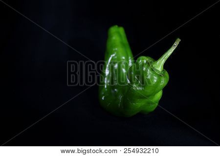 Green Pepper On A Black Background Moon Ligth