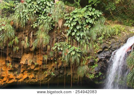 Annandale Waterfall On The Caribbean Island Of Granada