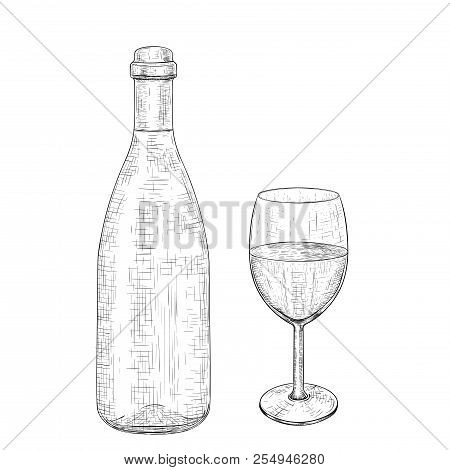 Botlle Of Wine With A Glass. Hand Drawn Sketch. Vector Illustration Isolated On White Background