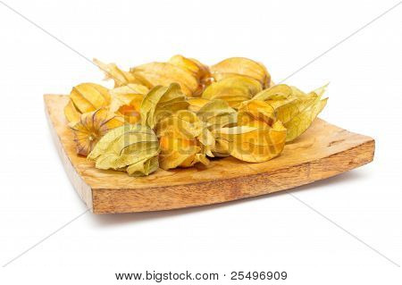 Physalis