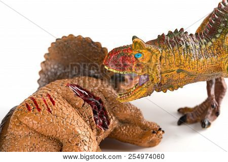 Carnotaurus With A Triceratops Body Nearby On White Background Close Up