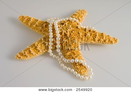 Perle di pesce stella