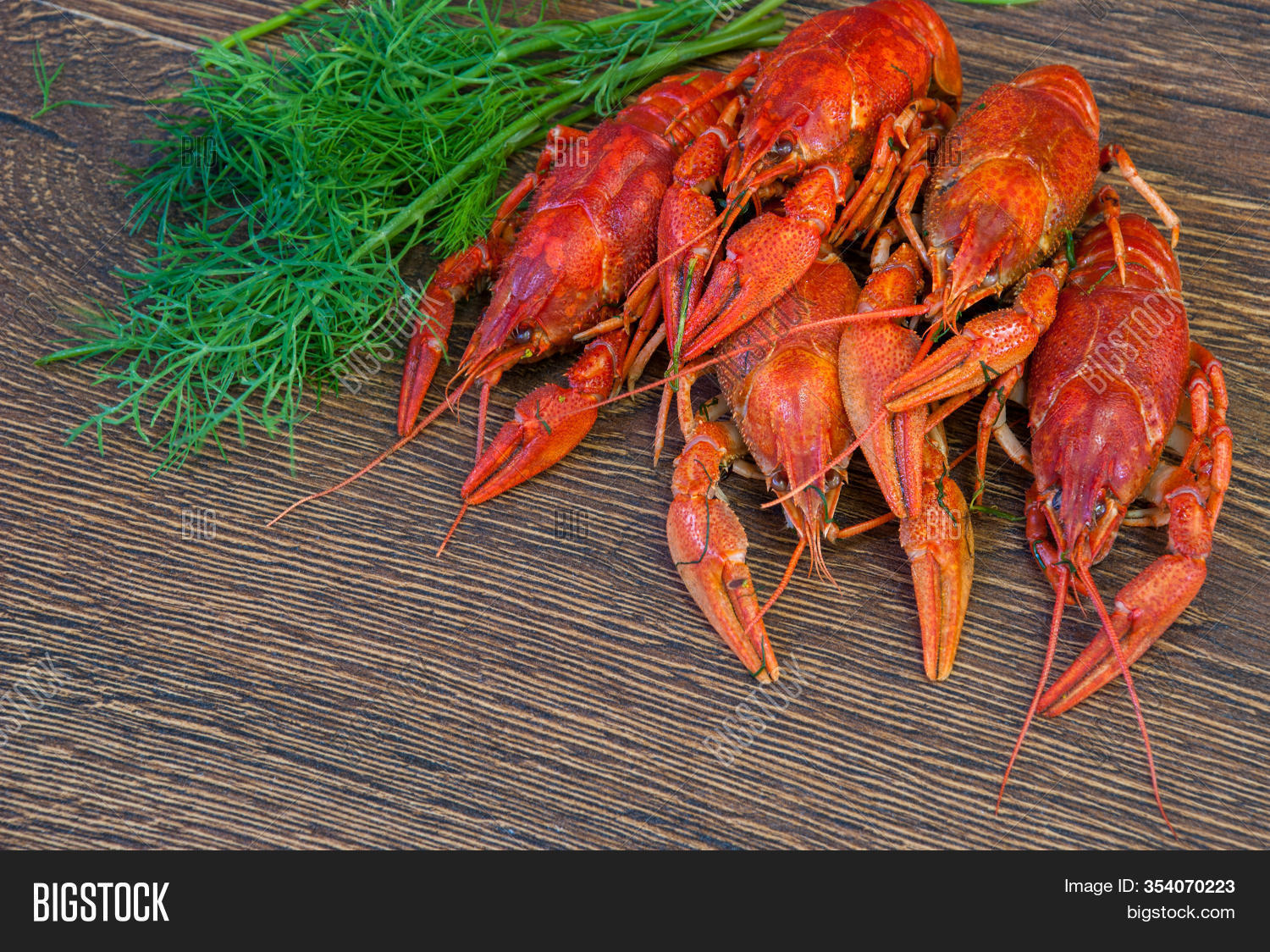 Boiled Crayfish Dill Image Photo Free Trial Bigstock Boiled Crayfish Dill Image Photo Free Trial Bigstock
