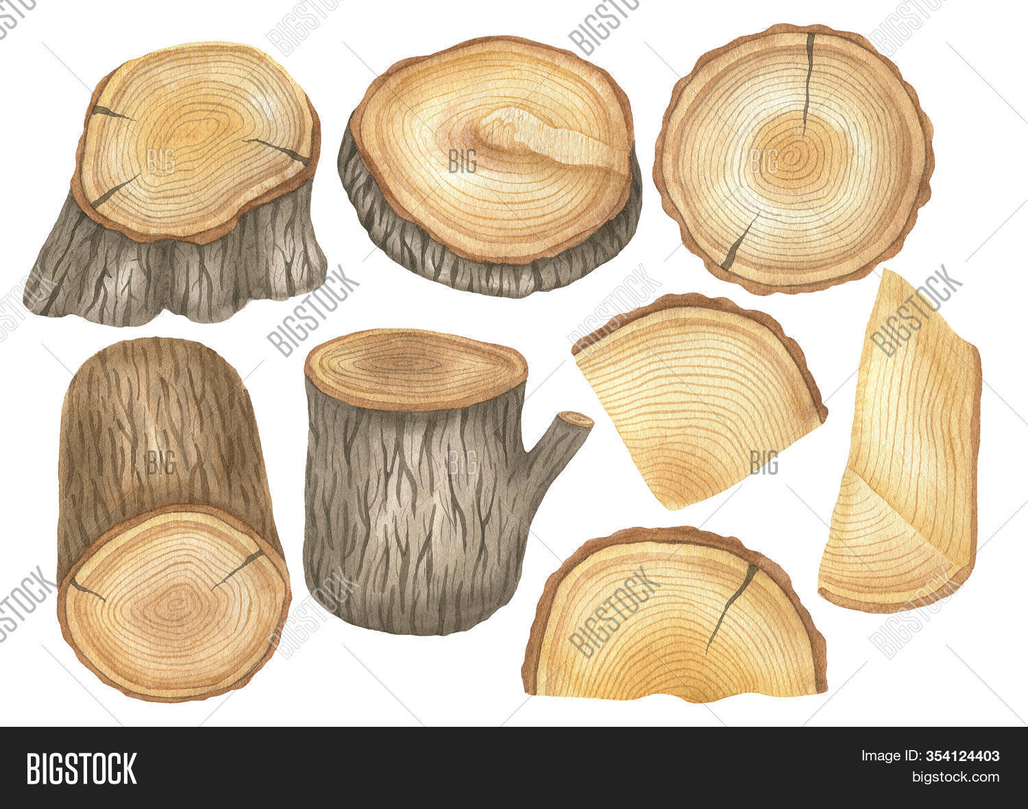 Set Slices Trees, Image & Photo (Free Trial) Bigstock