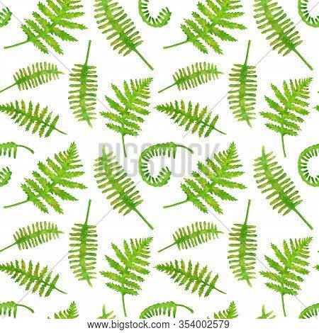 Watercolor Green Fern Leaves Seamless Pattern. Hand Painted Forest Plants Polypodiopsida Texture Iso