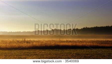 Misty Morning