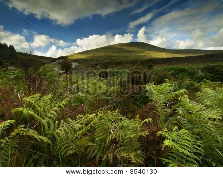 Montagne di Wicklow