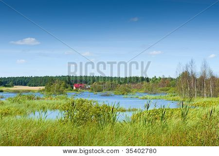Landschaft