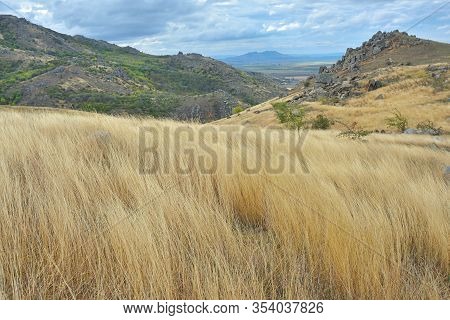 Yellow Grass On The Top Of The Roumanian Mountain