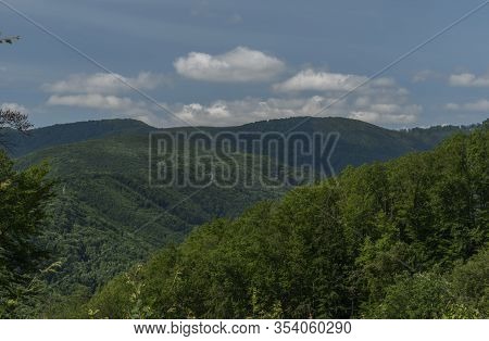 Leaf Green Forests With Mountains Near Kysak Station In Summer Hot Day