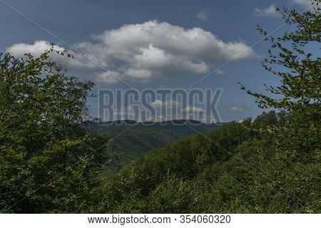 Leaf Green Forests With Mountains Near Kysak Station In Summer Hot Day