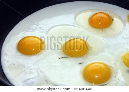 ovos fritos