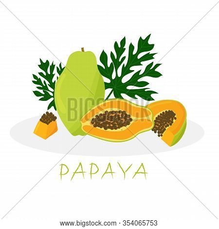 Juicy Exotic Papaya Fruit, Whole And Its Slices, Papaya Leaves, Isolated On A White Background. Vect