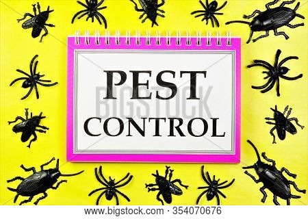 Pest Control Is A System Of Measures Of Extermination Activities To Combat Insects, Rodents And Harm