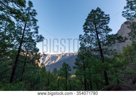 Scenic View On Caldera De Taburiente With Green Pine Forest, Ravines And Rocky Mountains Near Viewpo