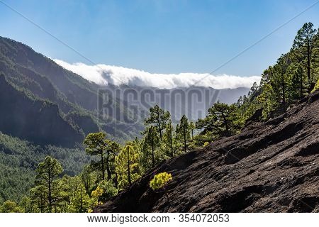 Cloud Waterfall Phenomenon At La Palma Island, Spain Near Viewpoint Cumbrecita In Caldera De Taburie