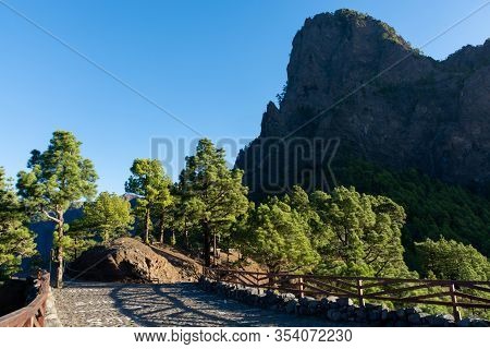 Scenic View On Caldera De Taburiente With Green Pine Forest, Ravines And Rocky Mountains Near Viewpo