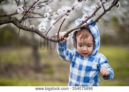 Handsome Boy Clings To A Branch In The Garden. Boy In Dlue Teddy Bear Costume With Flowers