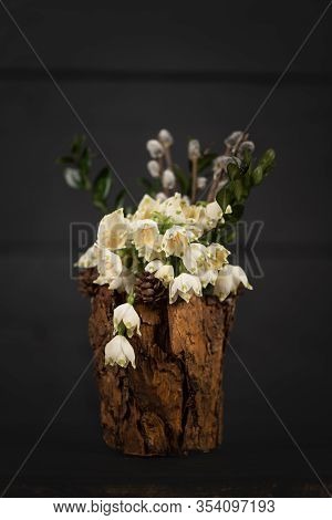 Leucojum Vernum In A Decorative Vase. Is The First Spring Snowflake. Theme Of International Womens D