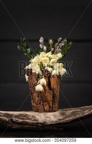 Leucojum Vernum In A Decorative Vase. Is The First Spring Snowflake. Theme Of International Womens D