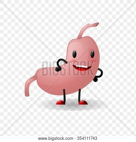 Illustration Of Human Internal Stomach Anatomy Realistic Organ Happy Character With Face Isolated Ag