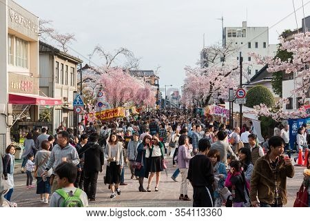 Inuyama Castle Historic Building Landmark In Spring With Beautiful Cherry Blossom.