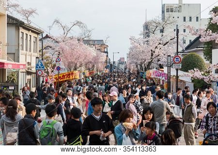 Inuyama Castle Historic Building Landmark In Spring With Beautiful Cherry Blossom.