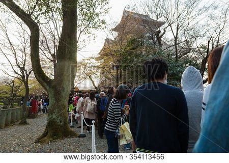 Inuyama Castle Historic Building Landmark In Spring With Beautiful Cherry Blossom.