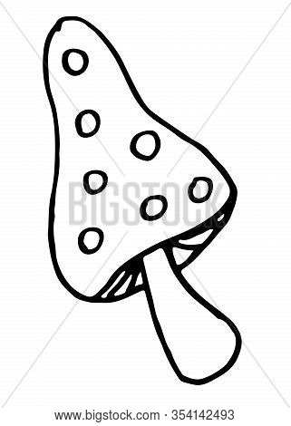 Amanita Mushroom Sketch. Hand-drawn Doodle Vector Illustration
