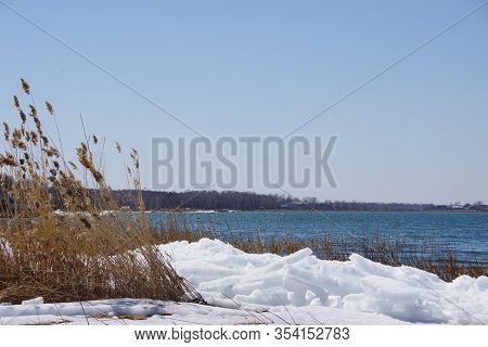 Spring Landscape With A Lake Overgrown With Reeds Near The Coast Covered By White Snow And A Clear S