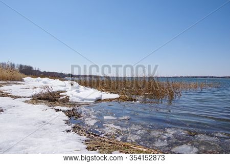 Spring Landscape With A Lake Overgrown With Reeds Near The Coast And A Clear Sky. Landscape With Mel