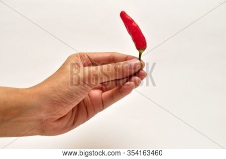 Hand Holding Fresh Chili Isolated White Background