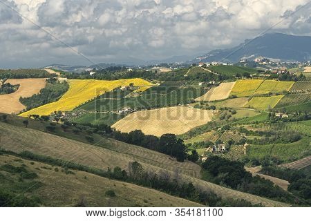 Rural Landscape At Summer Near Ripatransone, Ascoli Piceno, Marches, Italy