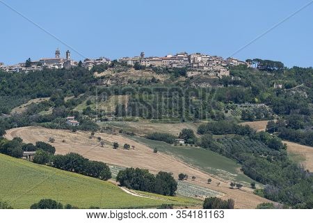 Rural Landscape At Summer Near Monterubbiano, Fermo, Marches, Italy