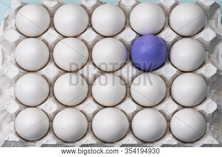 One Purple Blue Egg Among Many White Eggs. The View From The Top Box Of The Cell. Bright Difference,